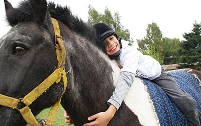 caballos3