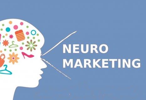 neuromarketing-copia