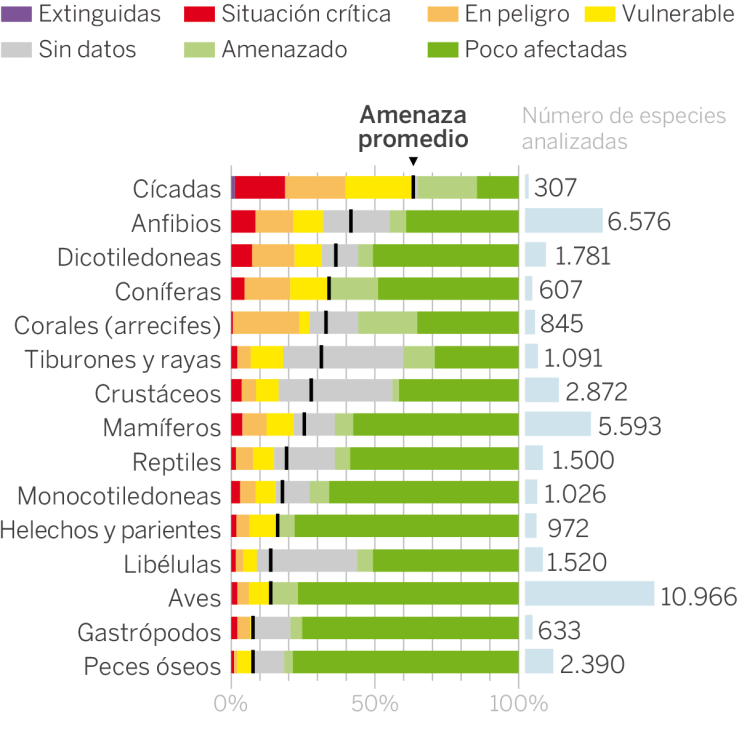 1555519100_105440_1557159741_portada_normal