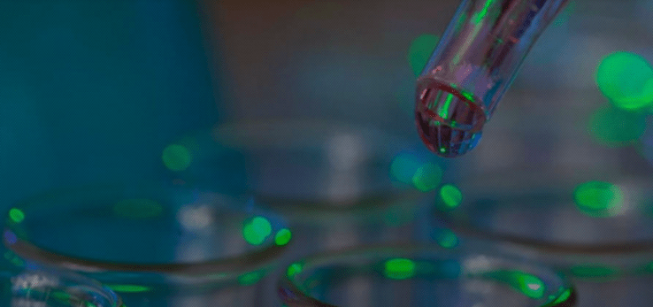 Screenshot_2020-01-23 Tele 13