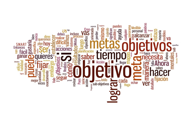 wordcloud-metas